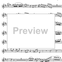 Quartet D Major KV285 - Flute