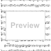 Sonata No. 6 in D Minor - Flute