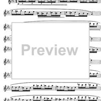 The Accomplished Clarinettist Vol. 1 - Clarinet