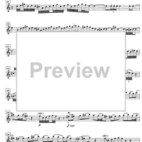 Scheherazade forteller videre - Violin