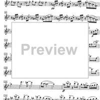 Hunky funky - Alto Saxophone