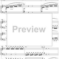 Double Piano Concerto No. 10 in E-flat Major, K316a (K365), Movement 1