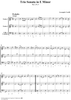 Trio Sonata in E minor, op. 2, no. 4