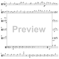 String Quartet No. 7 in D Major, D94 - Viola