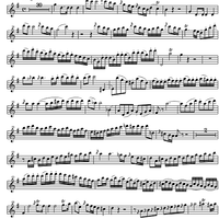 Concerto No. 1 G Major KV313 - Flute