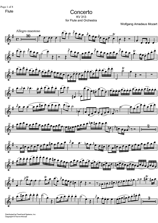 Concerto No. 1 G Major KV313 - Flute