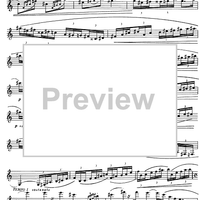 Preliminary studies to 'The Accomplished Clarinettist' Vol. 3 - Clarinet