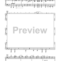 The Stars and Stripes Forever