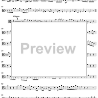 Sonata No. 6 in D Minor - Viola