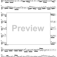 Flute Sonata in G Minor   BWV1020 - Flute
