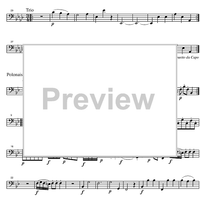 Divertimento No.12 Eb Major KV252 - Bassoon 2