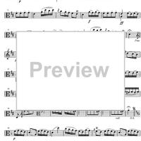 Concerto D Major Op. 1 - Viola