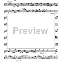 Sonata for Saxophone and Piano "Meditations on Rumi" - Alto Saxophone