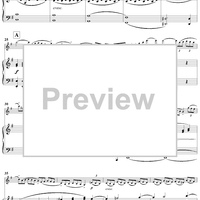 Violin Concerto in E Minor - Piano Score