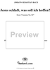 Jesus schläft, was soll ich hoffen? - No. 1 from Cantata no. 81, BWV81
