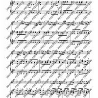 Concerto G Major in G major - Score and Parts