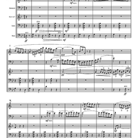 Serenata in vano - Score