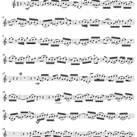 "Geliebter Jesu, du, du allein", Aria, No. 5 from Cantata No. 16: "Herr Gott, dich loben wir" - English Horn