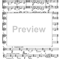 Contrabbasso concertante - Violin 2