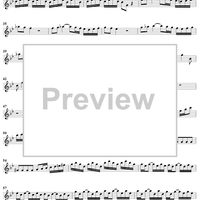 Flute Concerto in G Minor ("La Notte")  - Op. 10, No. 2 - RV 439 - Flute