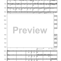 Symphony No.1 (First Movement) - Score