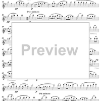 At the Ferry - Flute