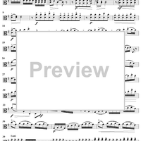 Viola d'Amore Concerto in G Major - Viola