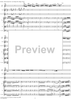 Flute Concerto No. 1 in G Major K285c (K313) - Full Score