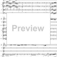 Flute Concerto No. 1 in G Major K285c (K313) - Full Score