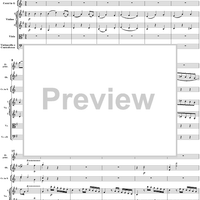 Flute Concerto No. 1 in G Major K285c (K313) - Full Score
