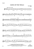 Dance of the Trolls - Flute 2