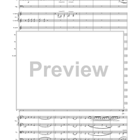 Missa Solemnis, No. 6: Agnus Dei - Full Score