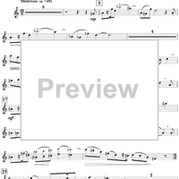 The Chamber of Secrets