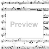 Concerto No. 3 G Major, KV216 - Violin