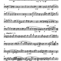 Rondó (Rondo) Op. 100 - Cello