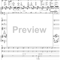 Twenty five Irische Lieder