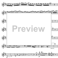 Quartet D Major KV285 - Flute