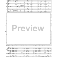 Brazilian Spice - Score