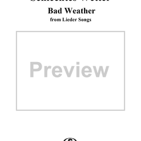 5 kleine Lieder, Op. 69:  No. 5, Schlechtes Wetter