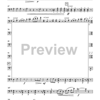 The Pleiades for String Orchestra - Violoncello