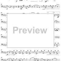 El Abanico - Bassoon 2