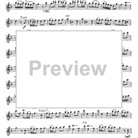 Concerto in F Major for Flute, Strings and Cembalo - Flute