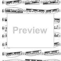Preliminary studies to 'The Accomplished Clarinettist' Vol. 3 - Clarinet