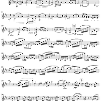 Violin Duet No. 13 in D Major, Op. 150 - Violin 1