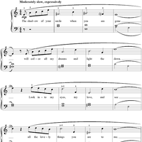 The Shadow of Your Smile