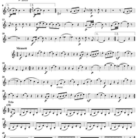 Serenade No. 5 in C Major from "Five Viennese Serenades" - Violin 2
