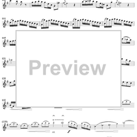 Flute Concerto in G Major - Flute