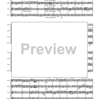 Sonoran Spice - Score