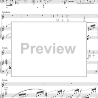 Siegfried, WWV86C, Third Act, Scene III, Siegfried, Brünnhilde