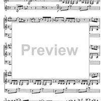 Die Stadtmusikanten - Score